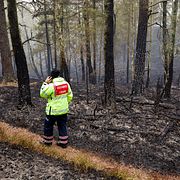 Skogsbrand i Delsjöområdet i Göteborgs kommun i maj.