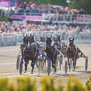 ATG sysslade från början framförallt med trav, men sedan 2018 driver man också nätcasino.