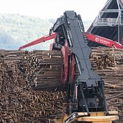 En truck lastar träd vid pappersmassaproducenten SCA:s Östrands massafabrik i Timrå. Arkivbild.