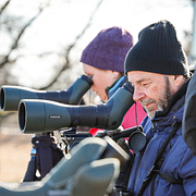 Tranor och fågelskådare vid Hornborgasjön våren 2025.