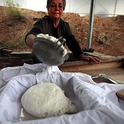 Halloumiproduktion. Illustrationsbild.