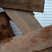 Många försöker nu säkra sina verksamheter.