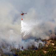 Skogsbrand i Sala kommun i Västmanland 2014. 