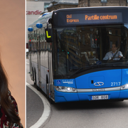 Arkiv, Teodorescu/Göteborgsbuss