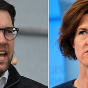 Jimmie Åkesson, Anna Kinberg Batra.