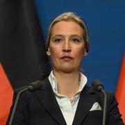 Alice Weidel.