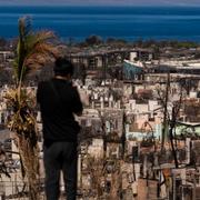 En person tittar ut över förödelsen efter skogsbranden i Lahaina, Hawaii.  Jae C. Hong / AP