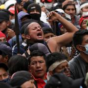 Demonstranter i Quito.