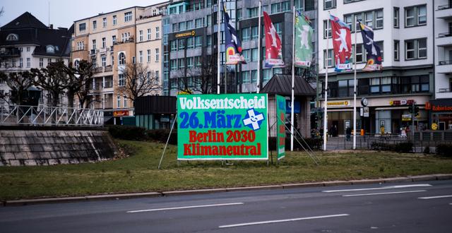 Valaffisch i Berlin.  Markus Schreiber / AP