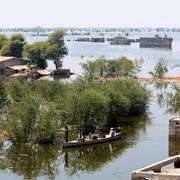 Dadu i Sindh-provinsen, Pakistan