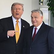 Donald Trump och Viktor Orbán utanför Vita huset förra året.