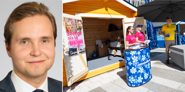 SD-politiker: Blir Vi Störst Borde Vi Få Ministerposter