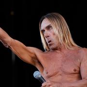 Iggy Pop.