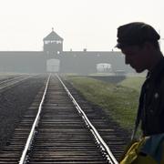 Auschwitz. 