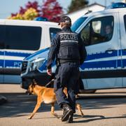 Bild från gripandet av 28-åringen.