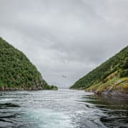 Illustrationsbild på en fjord i Norge.