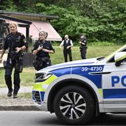 Flera hästar skenade på Djurgården i Stockholm i juni förra sommaren. 