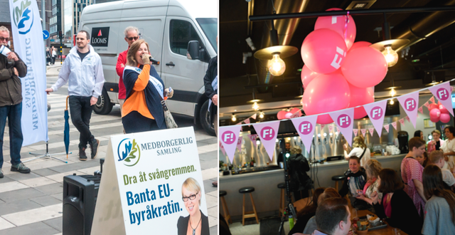Bilder från EU-valet 2019. Wikimedia Commons/TT