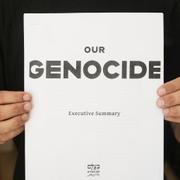 Rapporten "Our Genocide" av organisationen B'Tselem.