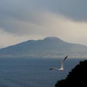 Capri. 