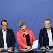 Etableringsjobben presenterades redan 2018. 