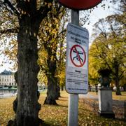  Skylt som visar på förbud att flyga drönare över Drottningholms slott, arkivbild. 