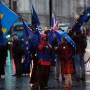 Demonstranter har samlats utanför parlamentshuset i London.