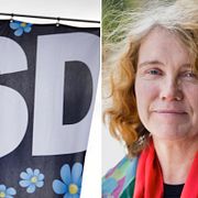 Statsvetaren Marie Demker reagerar på SD:s agerande i Göteborg.