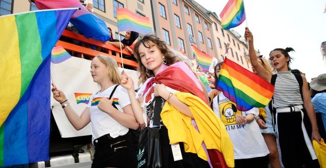 Bild från 2019 års prideparad. Stina Stjernkvist/TT