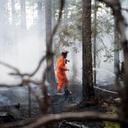 Arkivbild från skogsbranden i Västmanland 2014