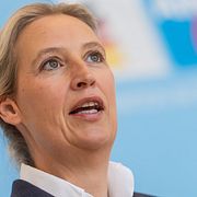 Alice Weidel, en av AFD:s två partiledare. Arkivbild.