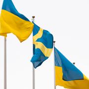 
 Ukrainas flagga vajar i vinden bredvid dens svenska flaggan. Illustrationsbild.