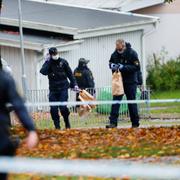 Bild från en polisinsats i stadsdelen Hässleholmen i Borås förra veckan, då två handgranater upptäcktes i staden.