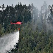 En helikopter samlar vatten i sjön Grötingen för att bekämpa skogsbranden på Grötingenberget i Bräcke kommun, Jämtland, den 22 juli i år.