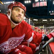 Andreas Lilja på bänken under sin tid i Detroit Red Wings.