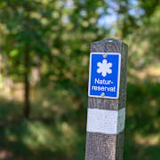 Fler än hälften i WWF:s undersökning vill se ökade insatser för att skydda och återskapa natur i Sverige.