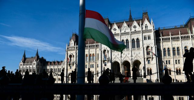 Ungerns parlament i Budapest. Anna Szilagyi / AP