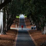 Invånarna i Melbourne tillåts att träna en timme om dagen, så länge de håller sig inom fem kilometer från hemmet.