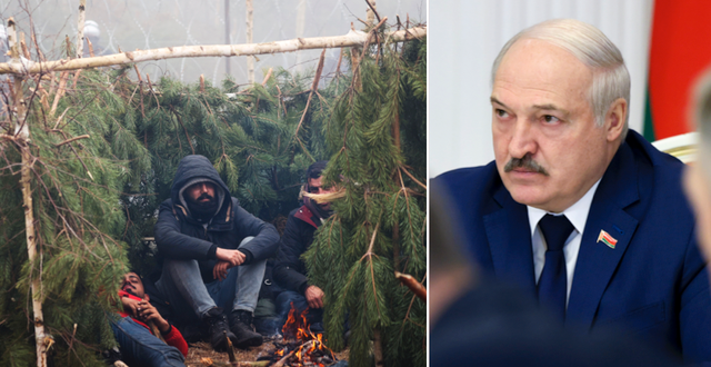 En migrant vid gränsen/Belarus president Aljaksandr Lukasjenko TT