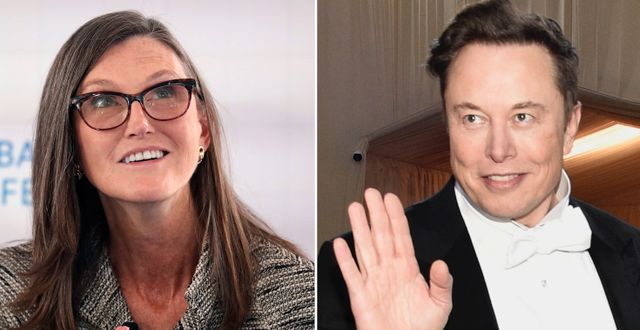  Techinvesteraren Cathie Wood och Teslas Elon Musk  David Swanson/Reuters och Evan Agostini/AP