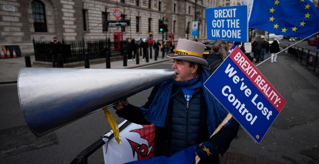 Antibrexit-demonstrant som stod utanför parlamentet i London i december i år.  Matt Dunham / AP