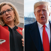 Liz Cheney, Donald Trump och George W. Bush. s