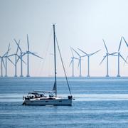 Vindkraftpark i Öresund. 