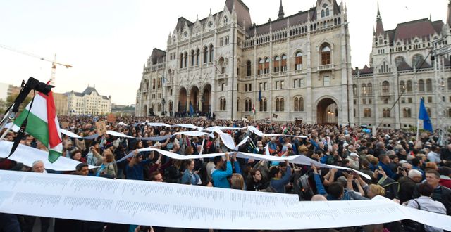 Arkivbild: Demonstrationer till stöd för universitetet utanför parlamentsbyggnaden i Budapest förra året. Zoltan Balogh / TT / NTB Scanpix