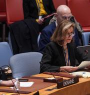 Ukrainas och USA:s ambassadörer i säkerhetsrådet. Arkivbild. Bebeto Matthews / AP
