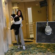 En kvinna bär ut sin hund efter att en byggnad träffats av en drönare i Tel Aviv.