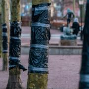 Tidigare bild från Malmö. 