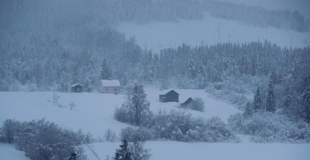 En liten gård i vinterlandskap i Västernorrland/Arkivbild Mats Andersson/TT