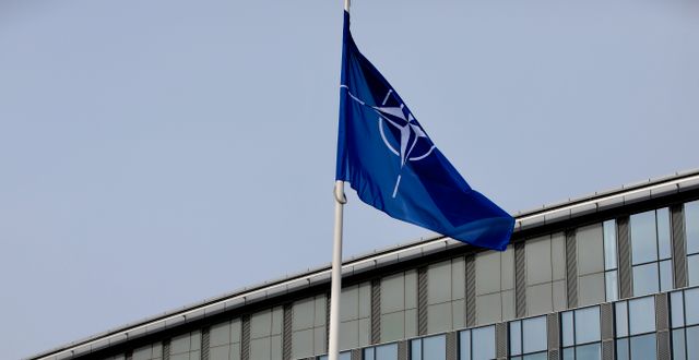 Nato-flaggan i Bryssel. Olivier Matthys / TT NYHETSBYRÅN