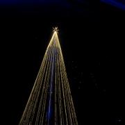 Julgranen på Liseberg.